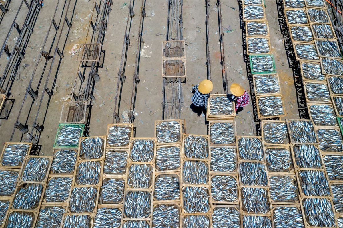 Aneka olahan ikan hasil produksi Dapur Laut Kabupaten Serang